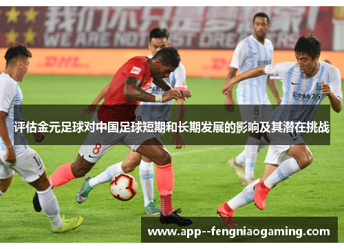 评估金元足球对中国足球短期和长期发展的影响及其潜在挑战