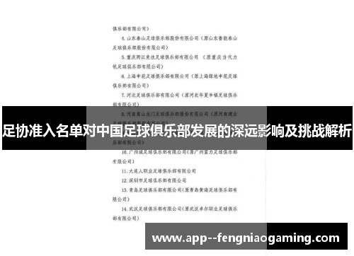 足协准入名单对中国足球俱乐部发展的深远影响及挑战解析 足协准入名单对中国足球俱乐部发展的深远影响及挑战解析