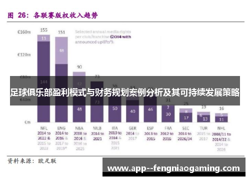足球俱乐部盈利模式与财务规划案例分析及其可持续发展策略
