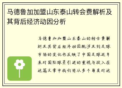 马德鲁加加盟山东泰山转会费解析及其背后经济动因分析