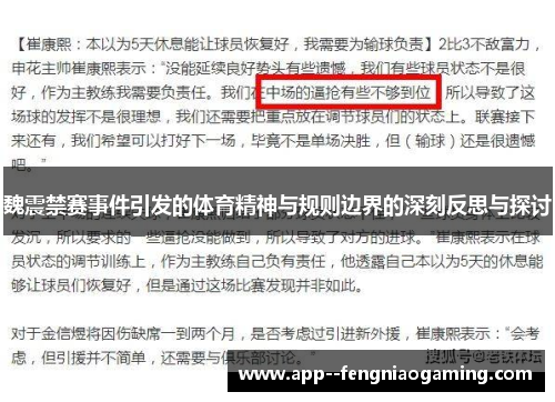 魏震禁赛事件引发的体育精神与规则边界的深刻反思与探讨
