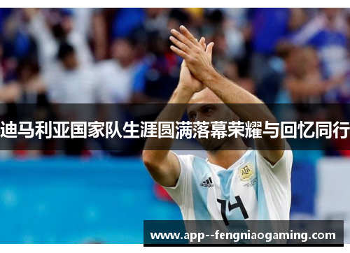 迪马利亚国家队生涯圆满落幕荣耀与回忆同行